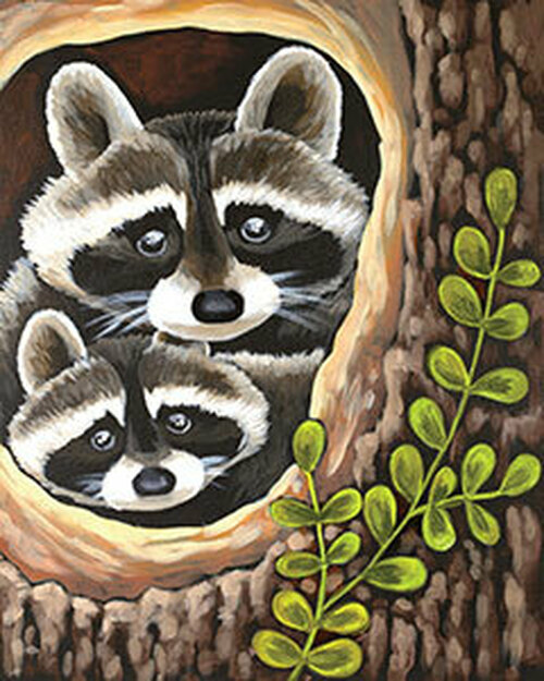 Curious Racoons